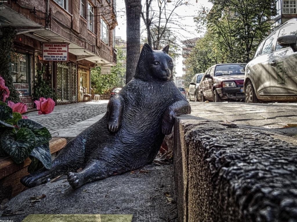 ការសិក្សាអំពីបច្ចេកទេសស្លុតសម្រាប់អ្នកថ្មី